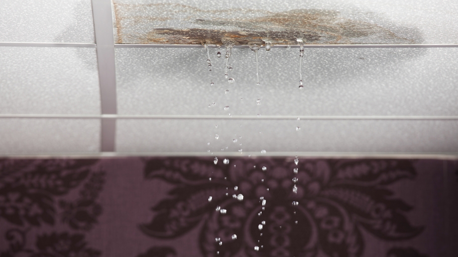 Water Leak Detection Water Leak Detection